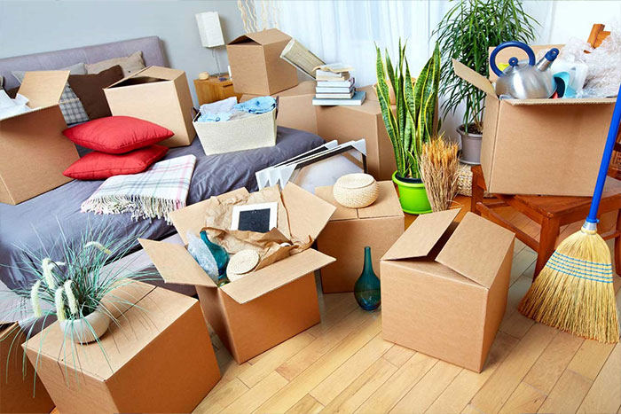 How to Choose the Best Packers and Movers in Anna Nagar Chennai