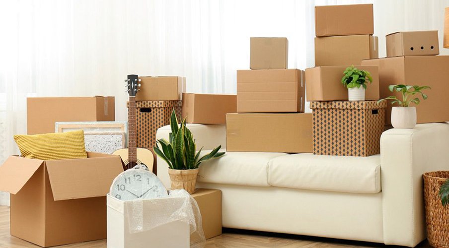 Shifting Services in Anna Nagar